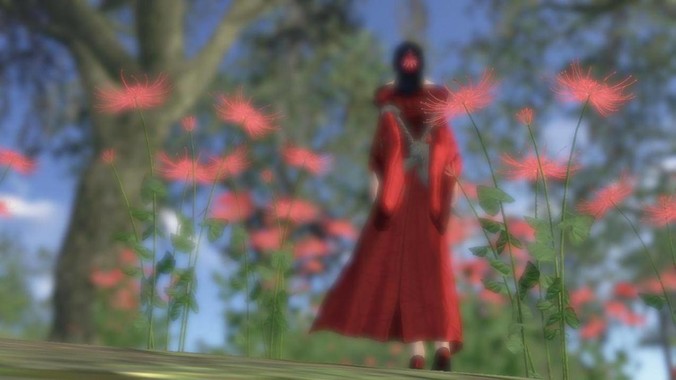 2025 年还能等得到 LCD 屏的旗舰机吗？